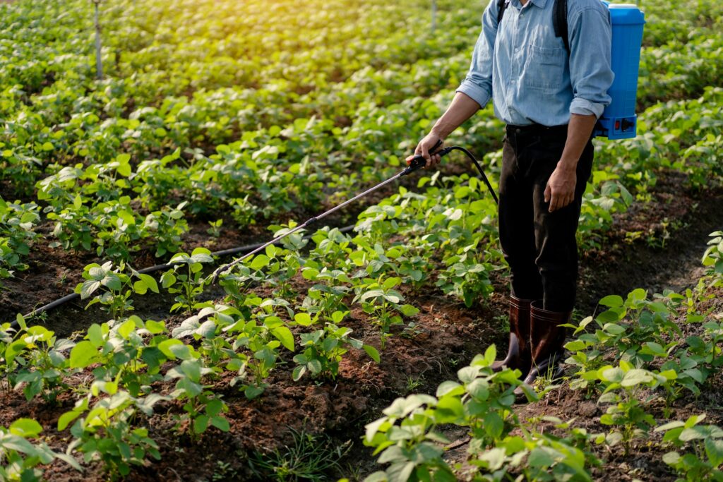 Smart farmer using spray tank to spraying fertilizer and pestici